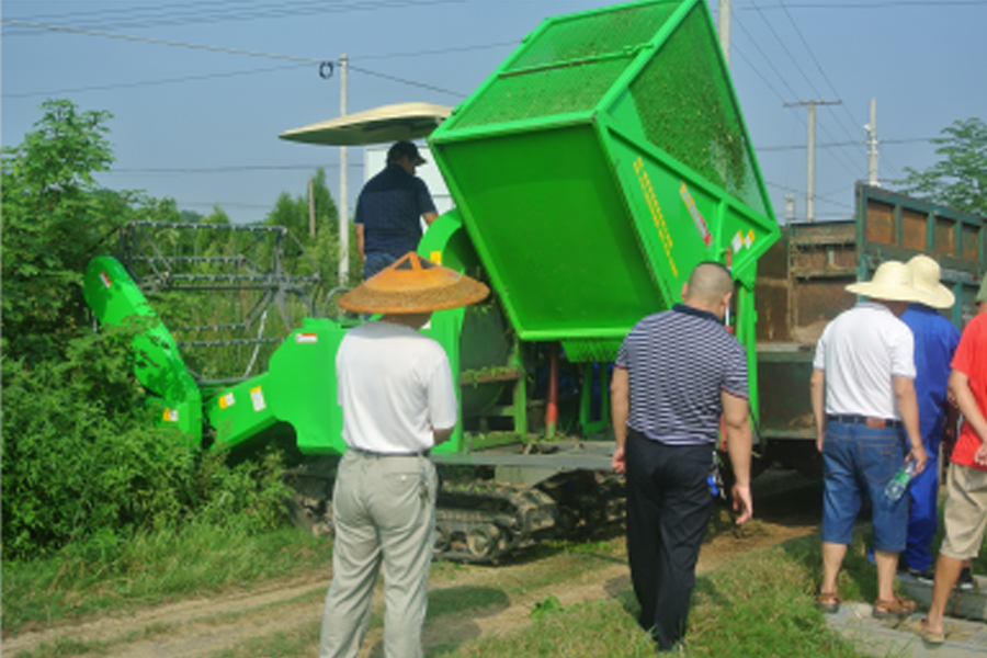 湖南省9001cc金沙以诚为本盛泰农业科技有限公司