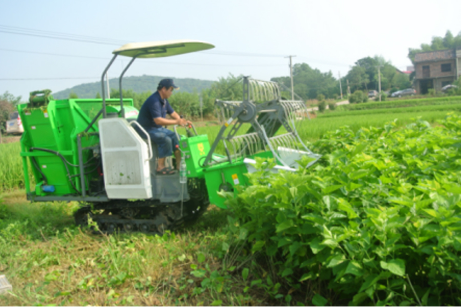湖南省9001cc金沙以诚为本盛泰农业科技有限公司