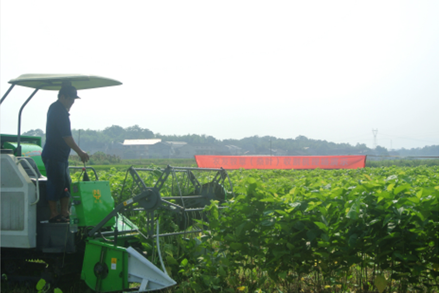 湖南省9001cc金沙以诚为本盛泰农业科技有限公司